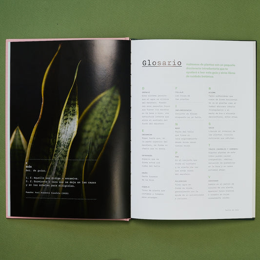 ocho fortuna Libro Laboratorio Botánico enhorabuena editorial