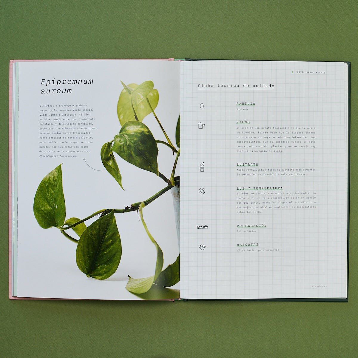 ocho fortuna Libro Laboratorio Botánico enhorabuena editorial