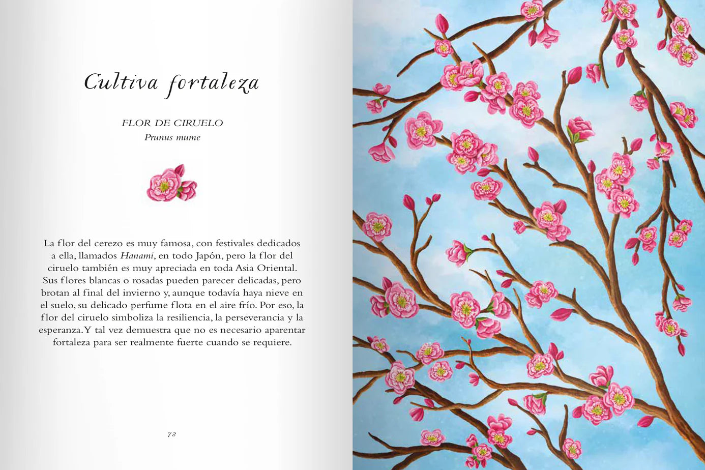 ocho fortuna Libro La sabiduría de las flores editorial contrapunto