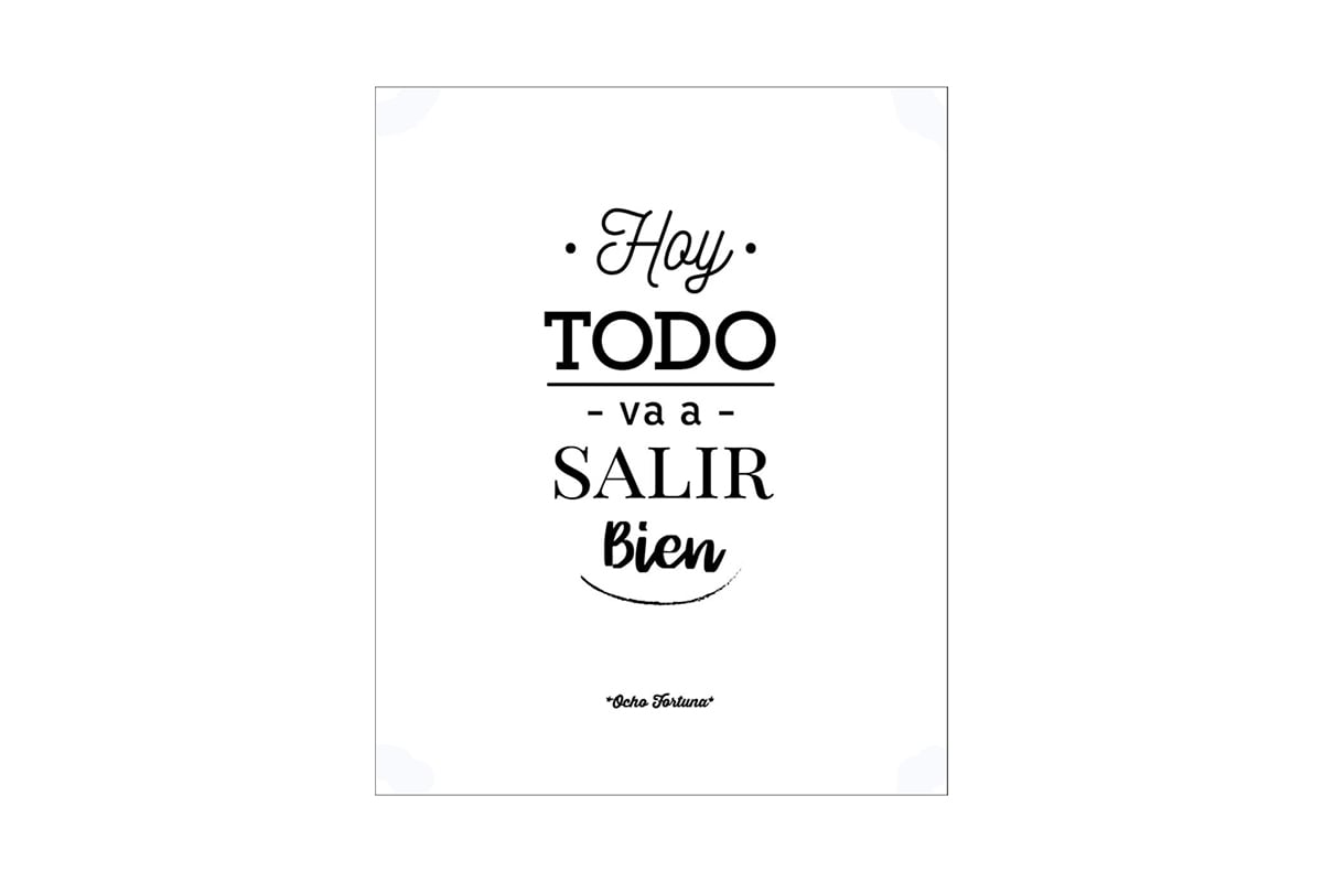 Cuadro/Lámina 20x25 Hoy todo va a salir bien solo láminas