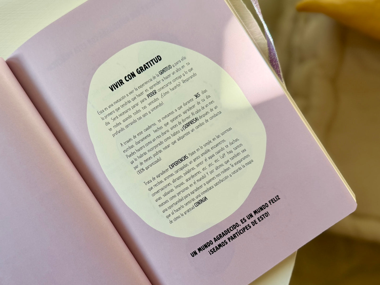 Diario de Gratitud: ¡365 días para agradecer!