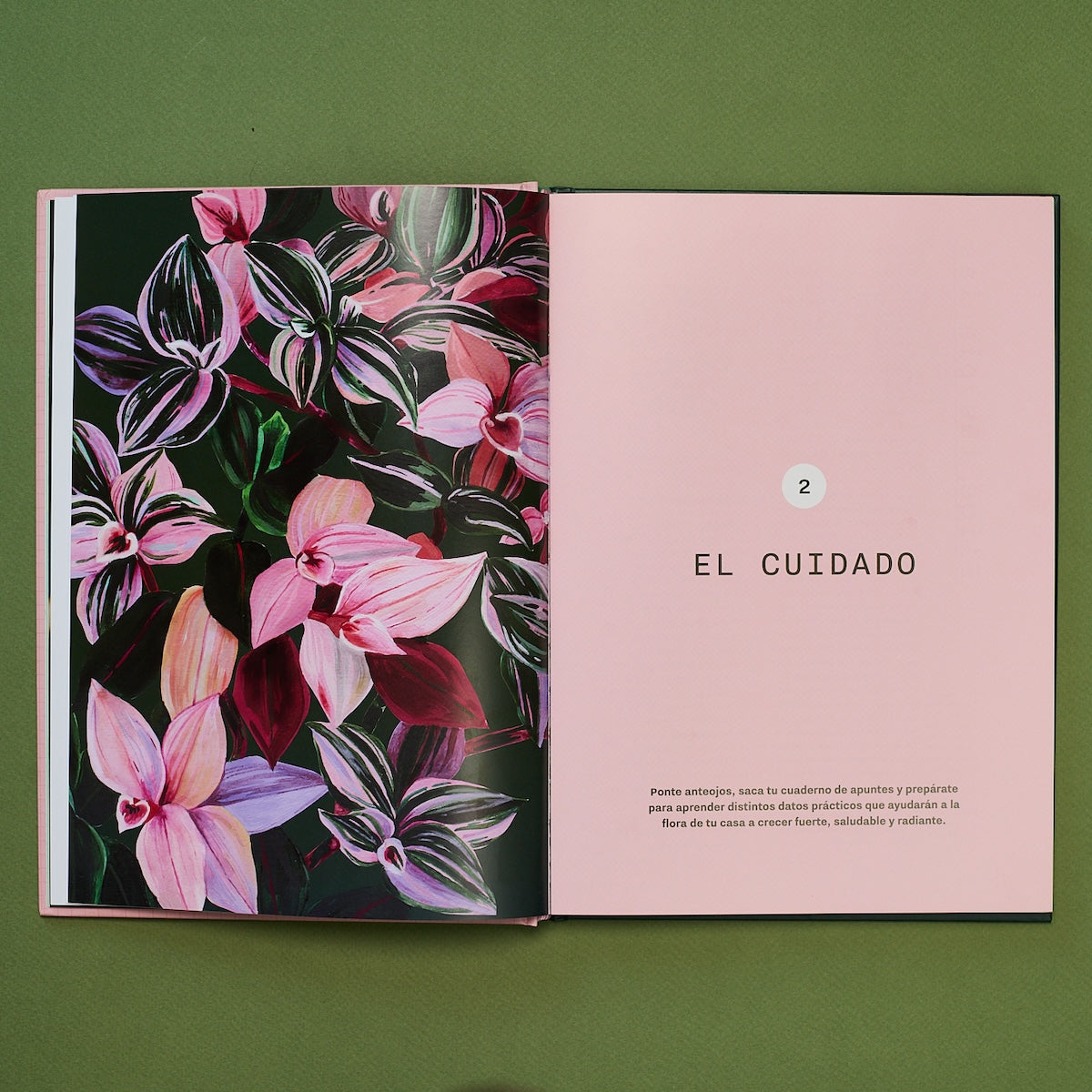 ocho fortuna Libro Laboratorio Botánico enhorabuena editorial