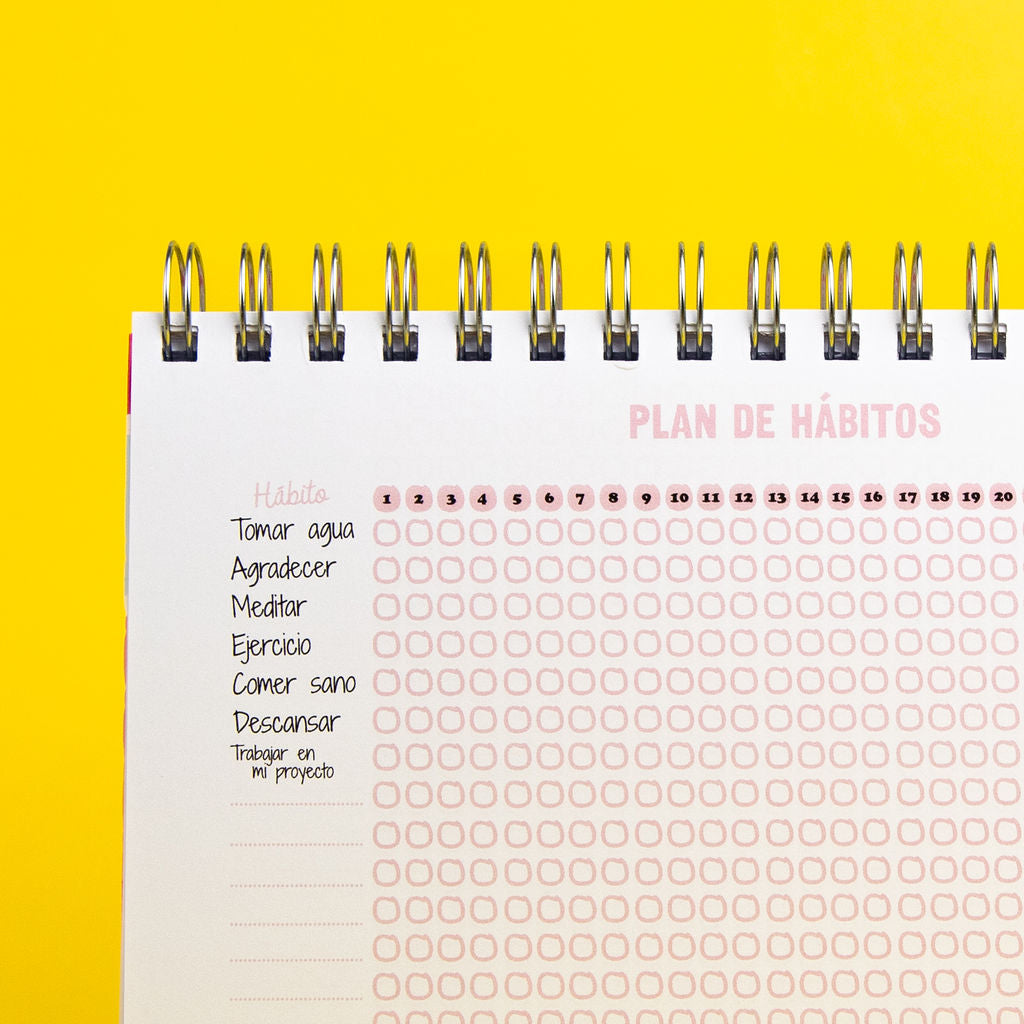 Cuaderno Mi Proyecto